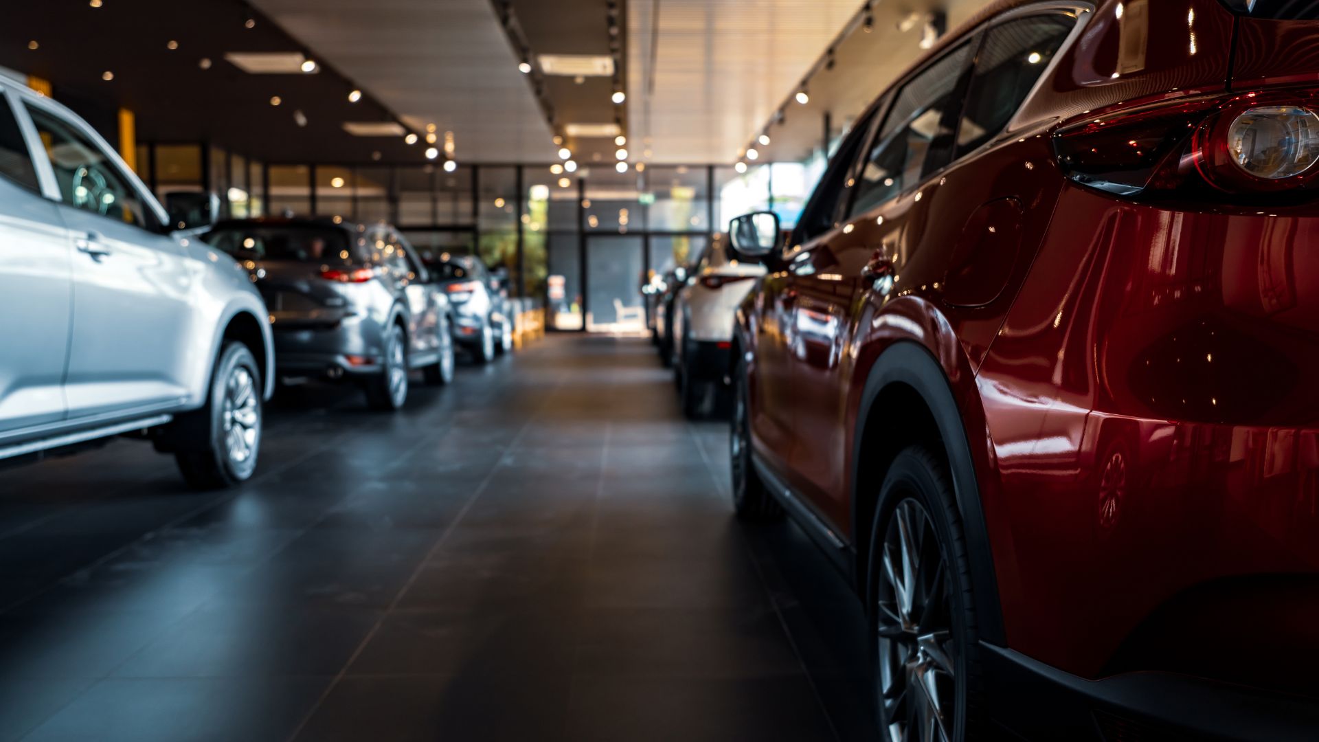 Sleek cars displayed in modern, well-lit automotive showroom with ambient lighting
